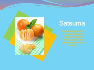 Satsuma
Satsuma fragrance is
a wonderful blend of
 orange, mandarin,
mango, peach, lime,
jasmine, and orange
      flowers.
 
