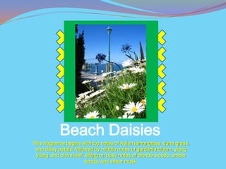 Beach Daisies
This fragrance begins with top notes of Asian lemongrass, dune grass,
 and daisy petals; followed by middle notes of gardenia bloom, ylang
 ylang, and clove leaf; sitting on base notes of blonde woods, amber
                        sands, and sheer musk.
 
