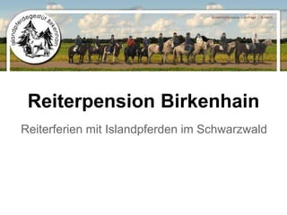Reiterpension Birkenhain
Reiterferien mit Islandpferden im Schwarzwald
 