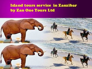 Island tours service in Zanzibar
by Zan One Tours Ltd
 
