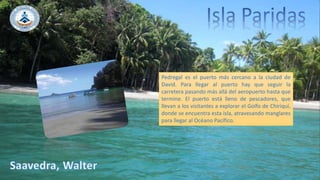 Pedregal es el puerto más cercano a la ciudad de
David. Para llegar al puerto hay que seguir la
carretera pasando más allá del aeropuerto hasta que
termine. El puerto está lleno de pescadores, que
llevan a los visitantes a explorar el Golfo de Chiriquí,
donde se encuentra esta isla, atravesando manglares
para llegar al Océano Pacífico.
 
