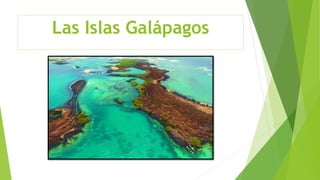 Las Islas Galápagos
 