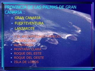 PROVINCIA DE LAS PALMAS DE GRAN CANARIA : GRAN CANARIA FUERTEVENTURA LANZAROTE  Y EL ARCHÌPIELAGO CHINIJO: LA GRACIOSA ALEGRANZA MONTAÑA CLARA  ROQUE DEL ESTE ROQUE DEL OESTE ISLA DE LOBOS 