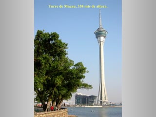 Torre de Macau, 338 mts de altura. 