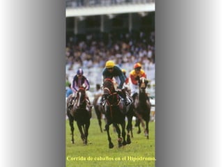 Corrida de caballos en el Hipódromo.   