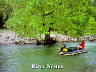 River Nestos
 