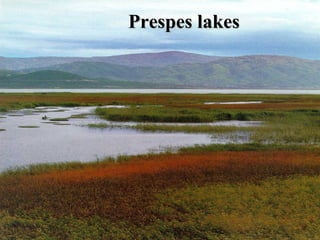 Prespes lakes
 