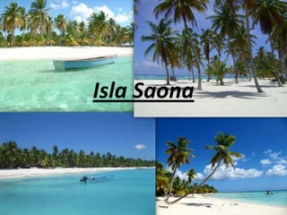 Isla Saona
 