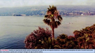 La Isla Madre muestra un espectacular jardín exótico compuesto por más de dos mil especies botánicas. Los arquitectos paisajistas de todo el mundo vienen para
ver esta proeza y quizás para conseguir vástagos de alguna planta exótica.
 