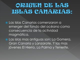  Las Islas Canarias comenzaron a
emerger del fondo del océano como
consecuencia de la actividad
magmática.
 Las islas mas antiguas son: La Gomera,
Gran Canaria y Lanzarote. Y las mas
jóvenes El Hierro, La Palma y Tenerife.
 