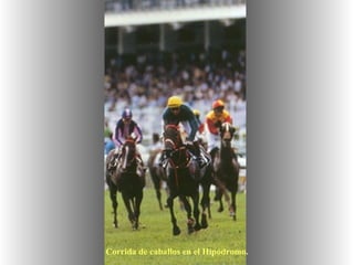 Corrida de caballos en el Hipódromo.   