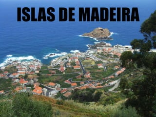ISLAS DE MADEIRA
 