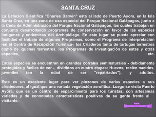 SANTA CRUZ La Estacion Cientifica "Charles Darwin" esta al lado de Puerto Ayora, en la Isla Santa Cruz, en una zona de uso especial del Parque Nacional Galápagos, junto a la Cede de Administración del Parque Nacional Galápagos, las cuales trabajan en conjunto desarrollando programas de conservación en favor de las especies indígenas y endémicas del Archipiélago. En este lugar se puede apreciar con facilidad el trabajo de algunos Programas, como el Programa de Interpretación -en el Centro de  Recepción  Turística-, los Criaderos tanto de tortugas terrestres como de iguanas terrestres, los Programas de Investigación de estas y otras especies, etc. Estas especies se encuentran en grandes corrales seminaturales - debidamente protegidos y fáciles de ver -, divididos en cuatro etapas: Huevos, recién nacidos, juveniles (en la edad de ser "repatriados"), y adultos. Este es un excelente lugar para ver pinzones de varias especies a sus alrededores, al igual que una variada vegetación xerofitica. Luego se visita Puerto Ayora, que es un centro de esparcimiento para los turistas, con artesanías variadas y de connotadas características positivas de su gente frente al  visitante.  www. laboutiquedelpowerpoint. com 