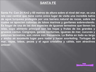 SANTA FE Santa Fe: Con 24 Km2 y 60 metros de altura sobre el nivel del mar, es una isla casi central que tiene como único lugar de visita una increible bahia de agua turquesa protegida por una barrera natural de rocas, sobre las cuales se aprecian colonias de lobos marinos y gavilanes sobrevolando. Es hogar de una de las dos especies de iguanas terrestres que tienen las islas, cuyo alimento principal son las hojas y frutas de los grandes y gruesos cactus. Cangrejos, garzas nocturnas, iguanas de mar, cucuves y palomas terrestres, son vistos con frecuencia. La Bahia en todo su largo y ancho es excelente lugar para nadar y hacer snorkeling. Tortugas de mar, rayas, lobos, peces y el agua cristalina y cálida, son atractivos únicos!  www. laboutiquedelpowerpoint. com 