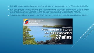  Estas islas fueron declaradas patrimonio de la humanidad en 1978 por la UNESCO.
 Las galápagos son conocidas por sus numerosas especies endémicas y los estudios
de Charles Darwin, sobre la teoría de la evolución por la selección natural.
 Son llamadas Islas encantadas (XVI), por su grandiosa diversidad de flora y fauna
 