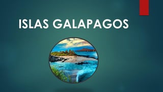 ISLAS GALAPAGOS
 