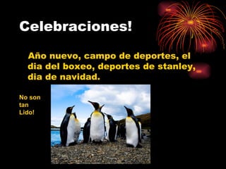Celebraciones! A ño nuevo, campo de deportes, el dia del boxeo, deportes de stanley, dia de navidad. No son tan Lido! 