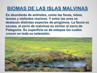 BIOMAS DE LAS ISLAS MALVINAS
Es abundante de animales, como las focas, lobos,
leones y elefantes marinos. Y entre las aves se
destacan distintas especies de pingüinos. La fauna es
escasa, el zorro de malvinas es similar al zorro de
Patagonia. Su superficie es de estepas las cuales
crecen en toda su extensión.
 