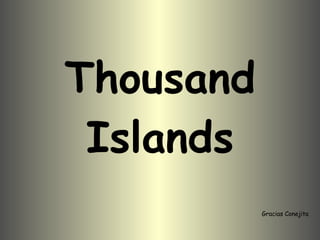 Thousand Islands Gracias Conejita