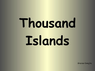 Thousand Islands Gracias Conejita 