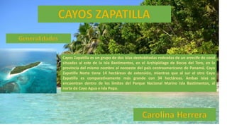 Cayos Zapatilla es un grupo de dos islas deshabitadas rodeadas de un arrecife de coral
situadas al este de la Isla Bastimentos, en el Archipiélago de Bocas del Toro, en la
provincia del mismo nombre al noroeste del país centroamericano de Panamá. Cayo
Zapatilla Norte tiene 14 hectáreas de extensión, mientras que al sur el otro Cayo
Zapatilla es comparativamente más grande con 34 hectáreas. Ambas islas se
encuentran dentro de los límites del Parque Nacional Marino Isla Bastimentos, al
norte de Cayo Agua e Isla Popa.
 
