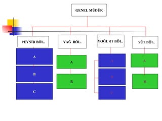 GENEL   MÜDÜR PEYNİR BÖL. A B A C A A B B C YAĞ  BÖL. YOĞURT   BÖL.   B SÜT BÖL. 