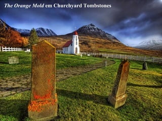 The Orange Mold em Churchyard Tombstones
 