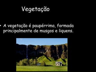 VegetaçãoA vegetação é paupérrima, formada principalmente de musgos e liquens. 