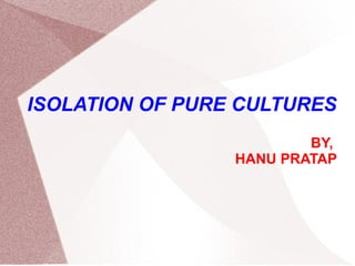 ISOLATION OF PURE CULTURES
BY,
HANU PRATAP
 
