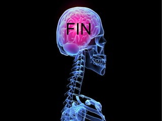 FIN
 