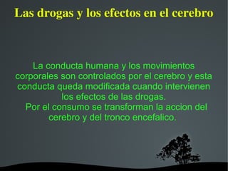   
Las drogas y los efectos en el cerebro
La conducta humana y los movimientos
corporales son controlados por el cerebro y esta
conducta queda modificada cuando intervienen
los efectos de las drogas.
Por el consumo se transforman la accion del
cerebro y del tronco encefalico.
 