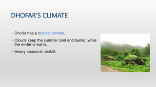 DHOFAR’S CLIMATE
• Dhofar has a tropical climate.
• Clouds keep the summer cool and humid, while
the winter is warm.
• Heavy seasonal rainfall.
 