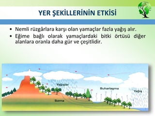 YER ŞEKİLLERİNİN ETKİSİ
• Nemli rüzgârlara karşı olan yamaçlar fazla yağış alır.
• Eğime bağlı olarak yamaçlardaki bitki örtüsü diğer
alanlara oranla daha gür ve çeşitlidir.
 