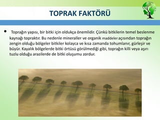 TOPRAK FAKTÖRÜ
• Toprağın yapısı, bir bitki için oldukça önemlidir. Çünkü bitkilerin temel beslenme
kaynağı topraktır. Bu nedenle mineraller ve organik maddeleraçısından toprağın
zengin olduğu bölgeler bitkiler kolayca ve kısa zamanda tohumlanır, gürleşir ve
büyür. Kayalık bölgelerde bitki örtüsü görülmediği gibi, toprağın killi veya aşırı
tuzlu olduğu arazilerde de bitki oluşumu zordur.
 