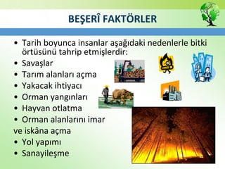 BEŞERÎ FAKTÖRLER
• Tarih boyunca insanlar aşağıdaki nedenlerle bitki
örtüsünü tahrip etmişlerdir:
• Savaşlar
• Tarım alanları açma
• Yakacak ihtiyacı
• Orman yangınları
• Hayvan otlatma
• Orman alanlarını imar
ve iskâna açma
• Yol yapımı
• Sanayileşme
 