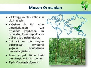 Muson Ormanları
• Yıllık yağış miktarı 2000 mm
civarındadır.
• Yağışların % 85‘i yazın
görüldüğünden yaz
aylarında yeşillenen bu
ormanlar, kışın yapraklarını
döken ağaçlardan oluşur.
• Çok sık ve gür oluşları
bakımından ekvatoral
yağmur ormanlarına
benzerlik gösterir.
• Buna karşılık türce fakir
olmalarıyla onlardan ayrılır.
• Tipik ağacı teak ağacıdır.
 
