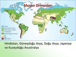 Hindistan, Güneydoğu Asya, Doğu Asya, Japonya
ve Kuzeydoğu Avustralya
 