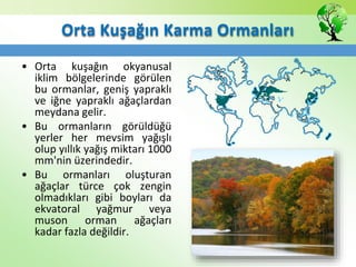 Orta Kuşağın Karma Ormanları
• Orta kuşağın okyanusal
iklim bölgelerinde görülen
bu ormanlar, geniş yapraklı
ve iğne yapraklı ağaçlardan
meydana gelir.
• Bu ormanların görüldüğü
yerler her mevsim yağışlı
olup yıllık yağış miktarı 1000
mm'nin üzerindedir.
• Bu ormanları oluşturan
ağaçlar türce çok zengin
olmadıkları gibi boyları da
ekvatoral yağmur veya
muson orman ağaçları
kadar fazla değildir.
 