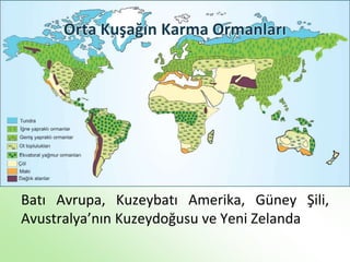Batı Avrupa, Kuzeybatı Amerika, Güney Şili,
Avustralya’nın Kuzeydoğusu ve Yeni Zelanda
 