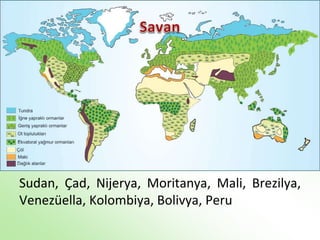 Sudan, Çad, Nijerya, Moritanya, Mali, Brezilya,
Venezüella, Kolombiya, Bolivya, Peru
 