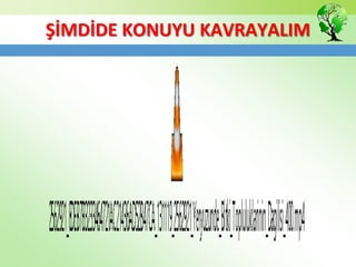 ŞİMDİDE KONUYU KAVRAYALIM
 