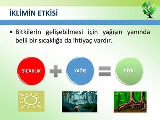 İKLİMİN ETKİSİ
• Bitkilerin gelişebilmesi için yağışın yanında
belli bir sıcaklığa da ihtiyaç vardır.
SICAKLIK YAĞIŞ BİTKİ
 