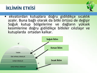 İKLİMİN ETKİSİ
• ekvatordan kutuplara doğru gidildikçe sıcaklık
azalır. Buna bağlı olarak da bitki örtüsü de değişir
Soğuk kutup bölgelerine ve dağların yüksek
kesimlerine doğru gidildikçe bitkiler cılızlaşır ve
kutuplarda ortadan kalkar.
Sıcak İklim
Ilıman İklim
Soğuk İklim
 