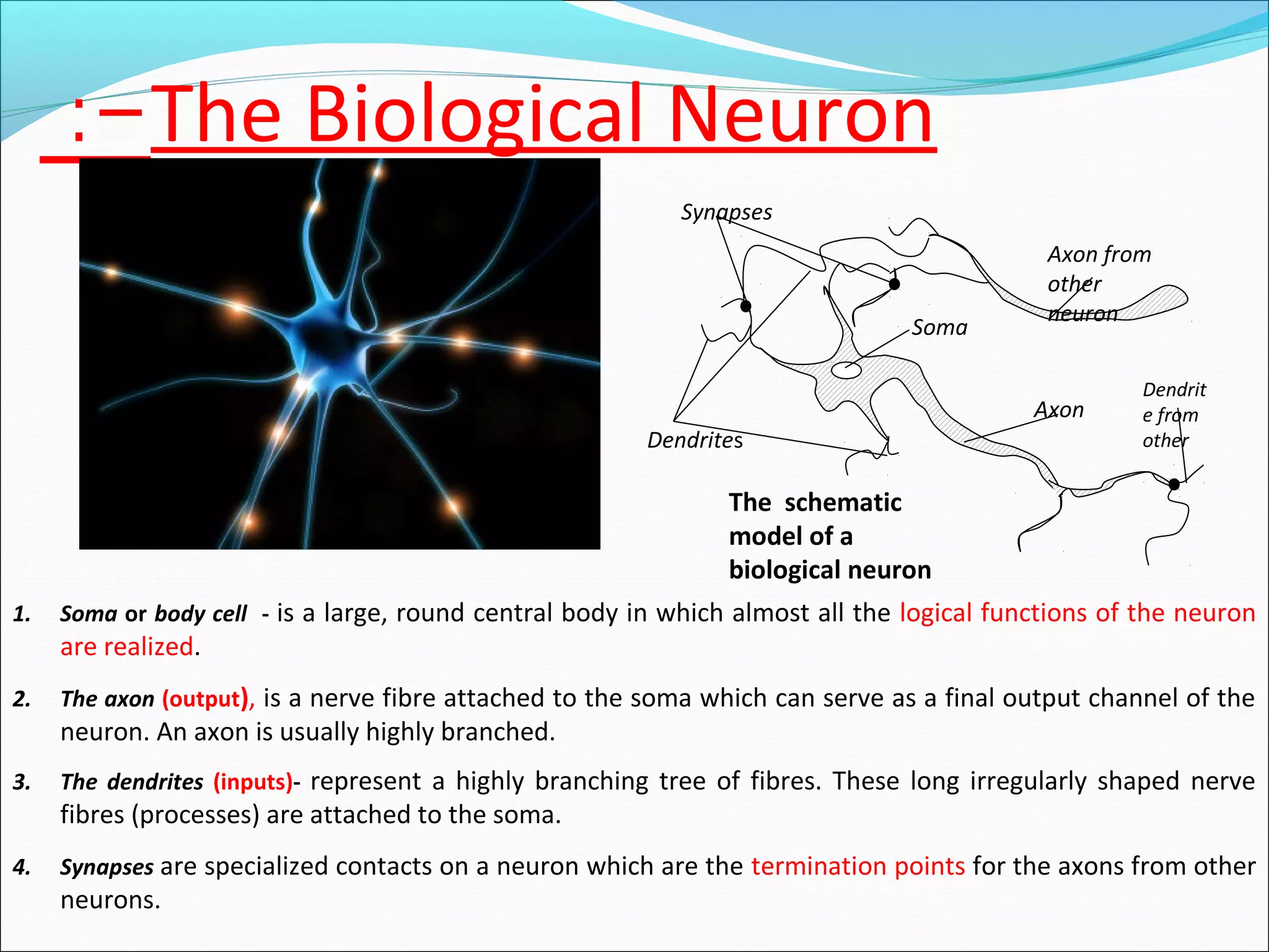 The Biological Neuron:-
The schematic
model of a
biological neuron
Synapses
Dendrites
Soma
Axon
Dendrit
e from
other
Axon from
other
neuron
1. Soma or body cell - is a large, round central body in which almost all the logical functions of the neuron
are realized.
2. The axon (output), is a nerve fibre attached to the soma which can serve as a final output channel of the
neuron. An axon is usually highly branched.
3. The dendrites (inputs)- represent a highly branching tree of fibres. These long irregularly shaped nerve
fibres (processes) are attached to the soma.
4. Synapses are specialized contacts on a neuron which are the termination points for the axons from other
neurons.
 