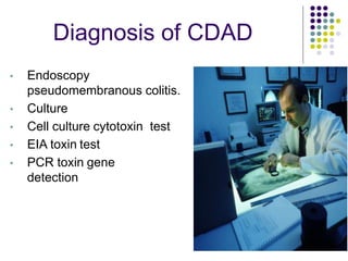 Diagnosis of CDAD
• Endoscopy
pseudomembranous colitis.
• Culture
• Cell culture cytotoxin test
• EIA toxin test
• PCR toxin gene
detection
 