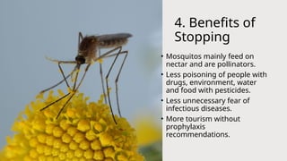4. Benefits of
Stopping
• Mosquitos mainly feed on
nectar and are pollinators.
• Less poisoning of people with
drugs, environment, water
and food with pesticides.
• Less unnecessary fear of
infectious diseases.
• More tourism without
prophylaxis
recommendations.
 