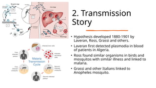 2. Transmission
Story
• Hypothesis developed 1880-1901 by
Laveran, Ross, Grassi and others.
• Laveran first detected plasmodia in blood
of patients in Algeria.
• Ross found similar organisms in birds and
mosquitos with similar illness and linked to
malaria.
• Grassi and other Italians linked to
Anopheles mosquito.
 