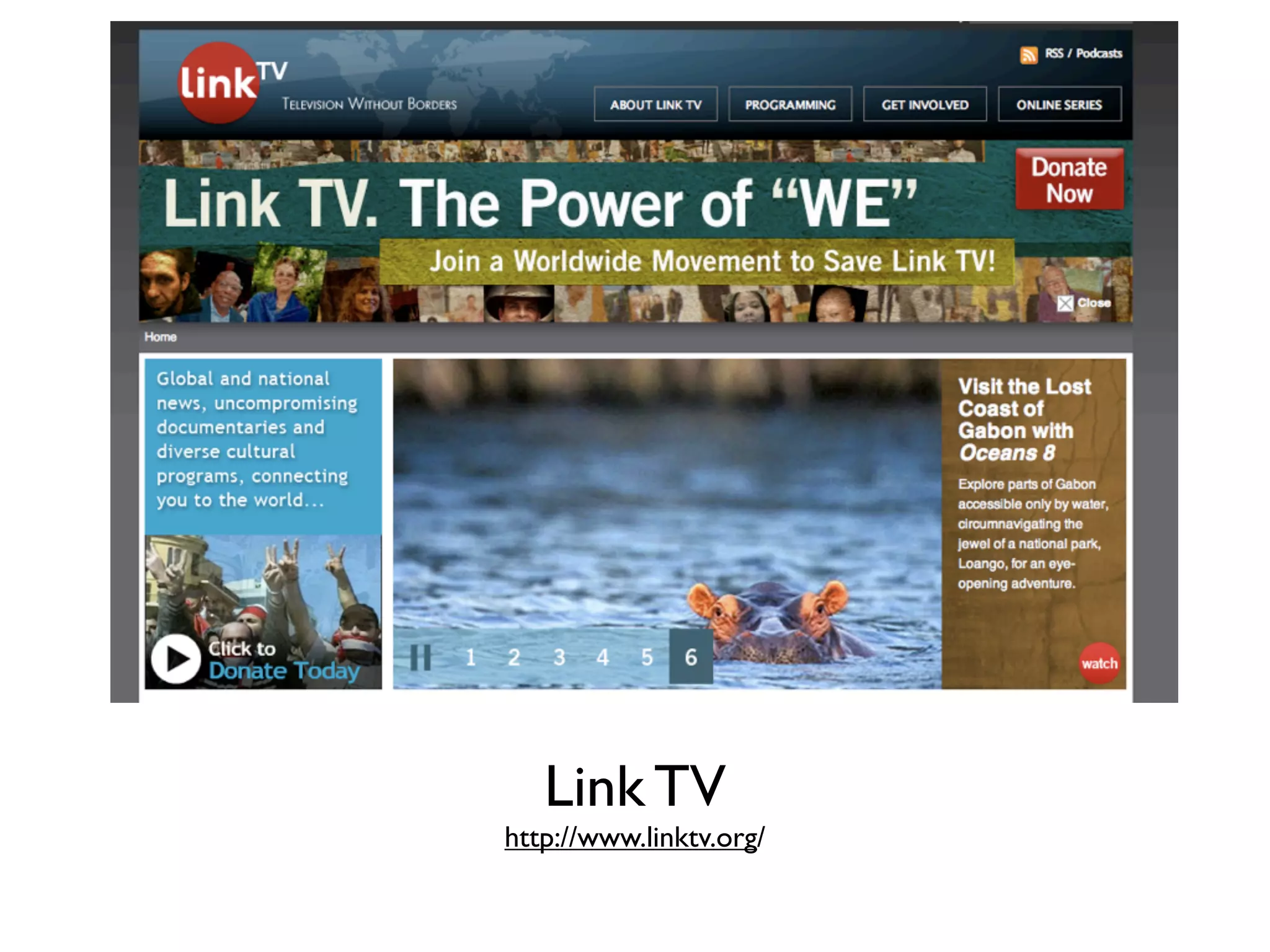 Link TV
http://www.linktv.org/
 