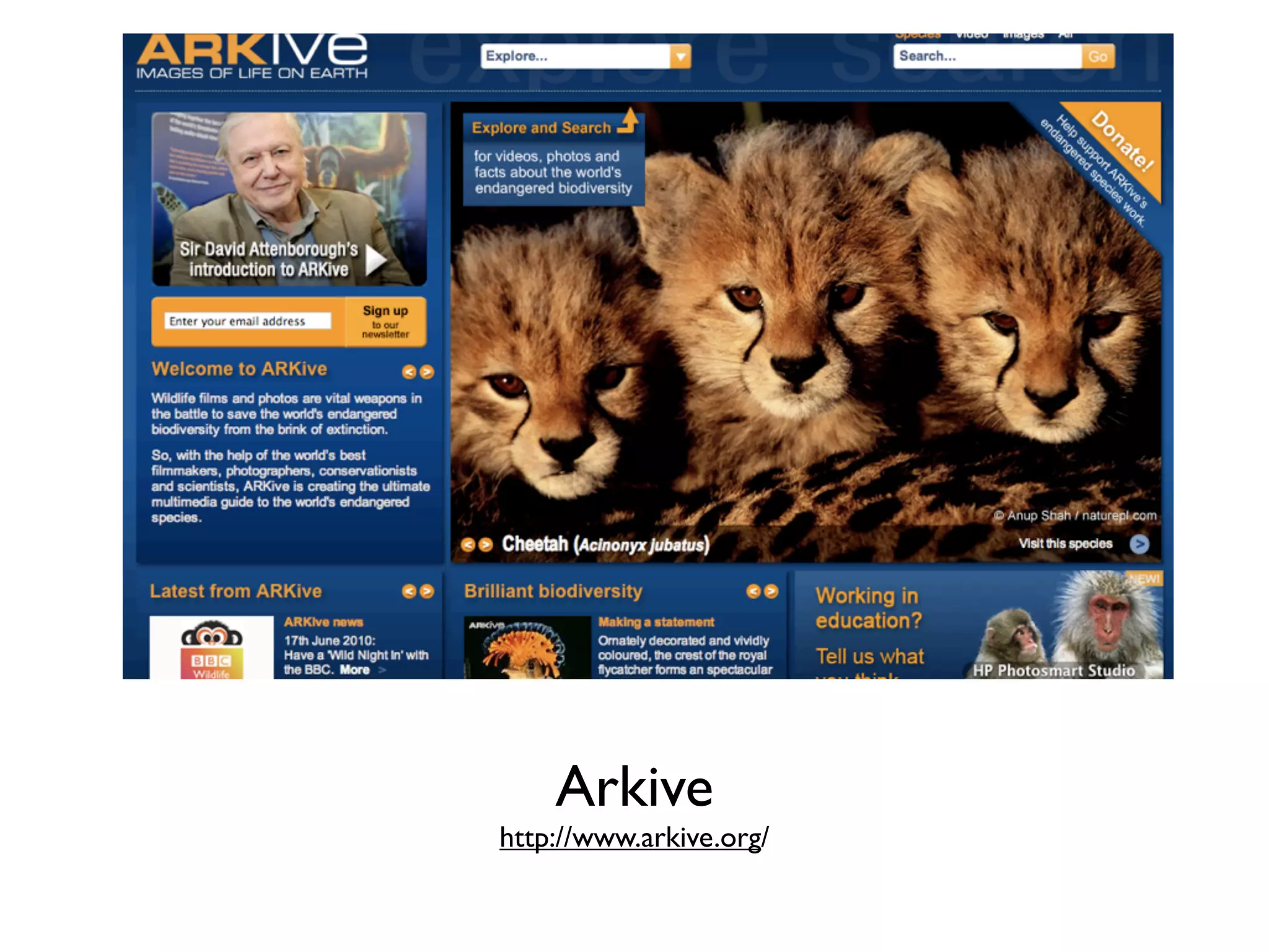 Arkive
http://www.arkive.org/
 