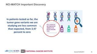 26Revised 05/30/2017
NCI-MATCH Important Discovery
In patients tested so far, the
tumor gene variants we are
studying are less common
than expected, from 3.47
percent to zero
 
